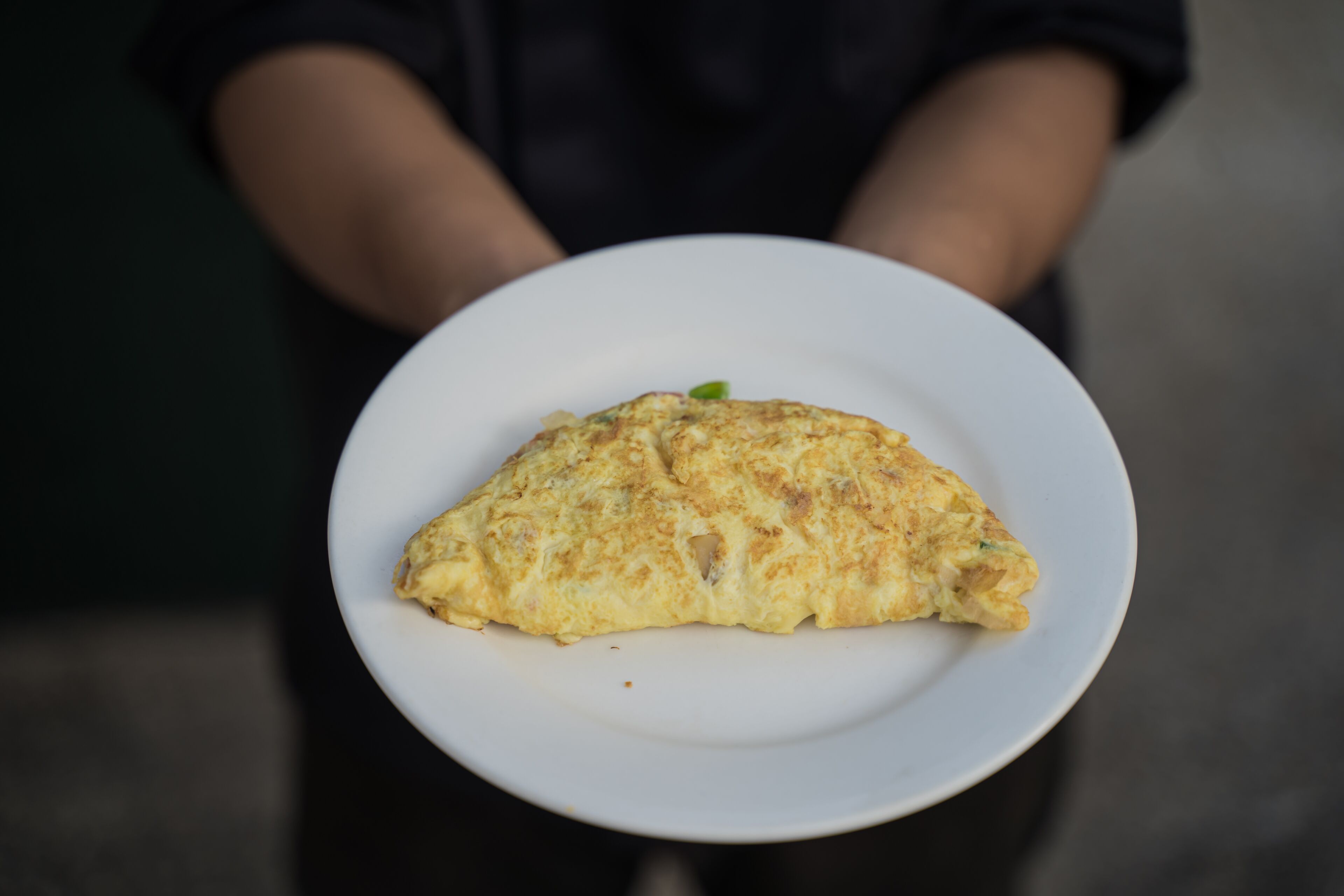 A person holding a plate with an omelette.