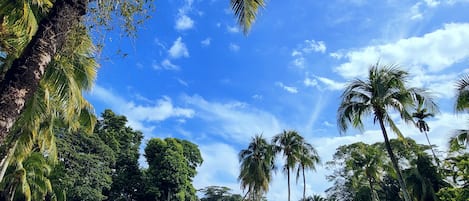 Una piscina al aire libre, tumbonas