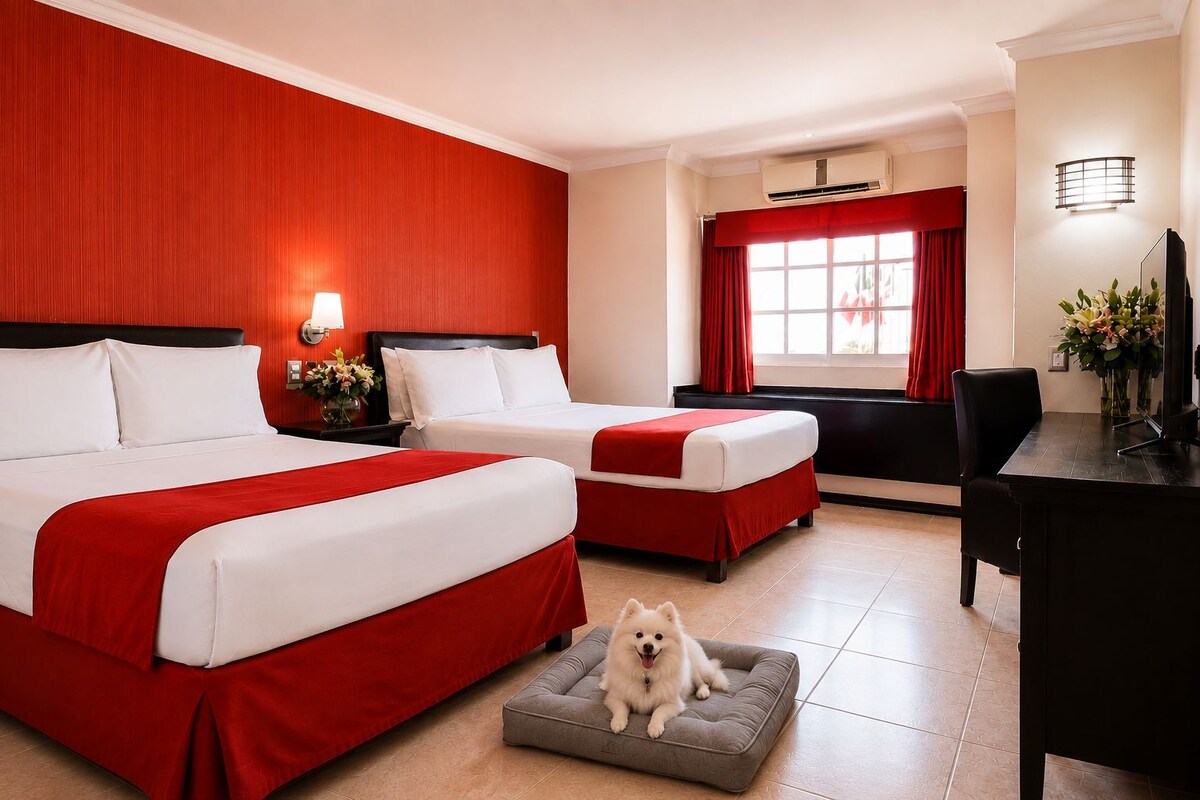 Doppia Standard, 2 letti matrimoniali (Pet Friendly) | Biancheria da letto di alta qualità, copriletto in piuma