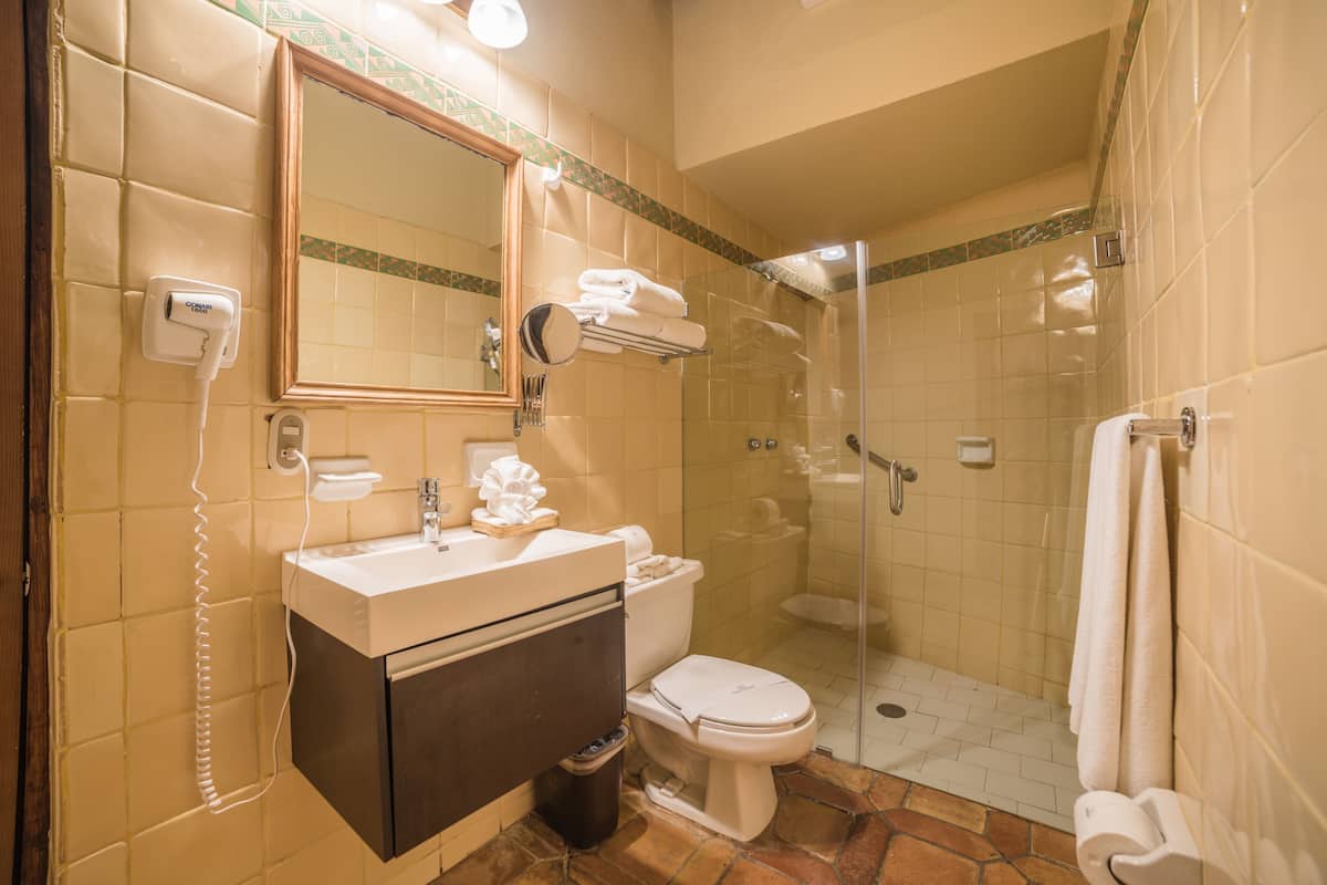 standard double room | bathroom shower