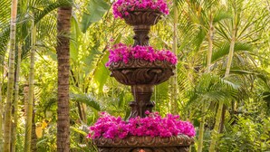 A tiered water fountain with pink flowers, surrounded by lush tropical plants. - Hotel Posada del Hidalgo by Balderrama Hotel Collection (El Fuerte)