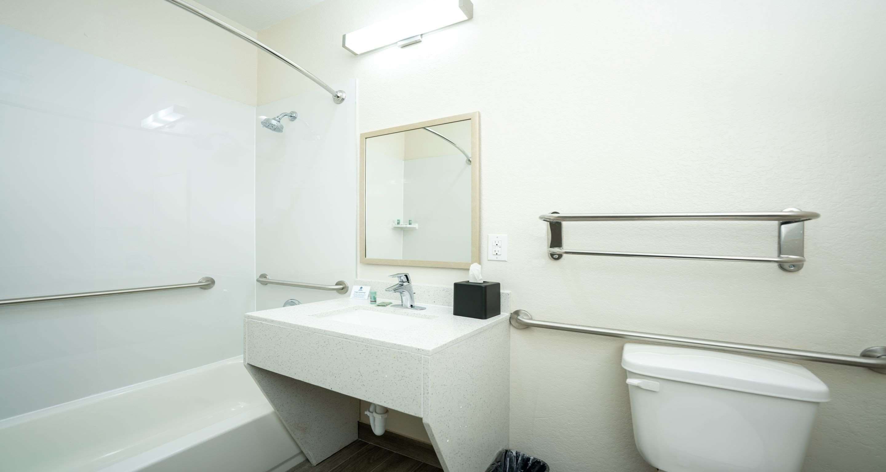 standard room, 1 king bed, accessible, refrigerator & microwave | bathroom | bathtub, hair dryer, towels