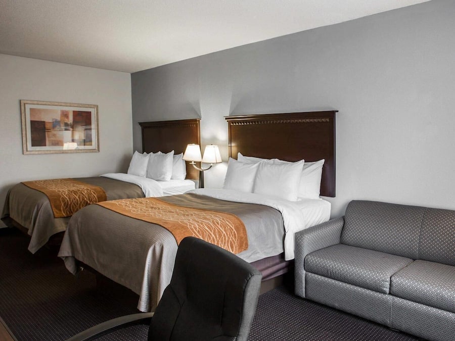 Standard-Suite, Mehrere Betten (Studio Suite 2 queen beds w/ sofabed)