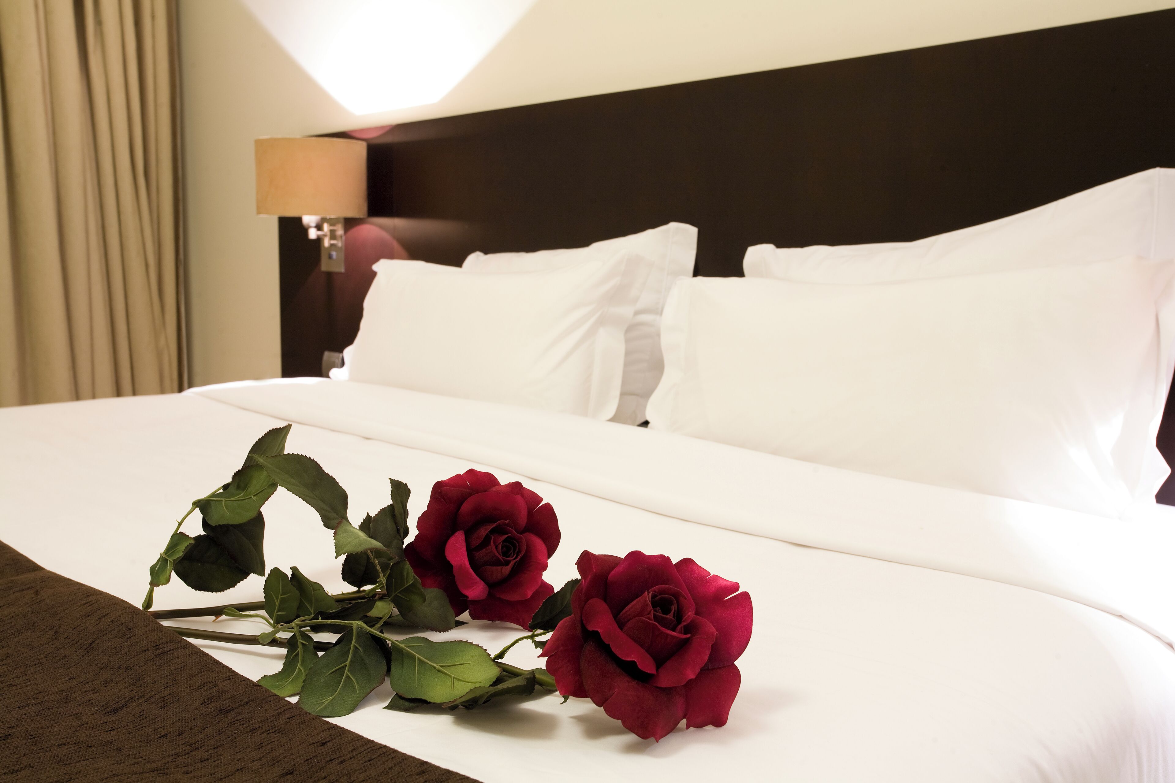 Foto - Hotel Conde de Agueda