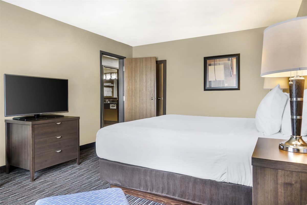 Suite, 1 King Bed, Non Smoking, Refrigerator & Microwave (with Sofabed)