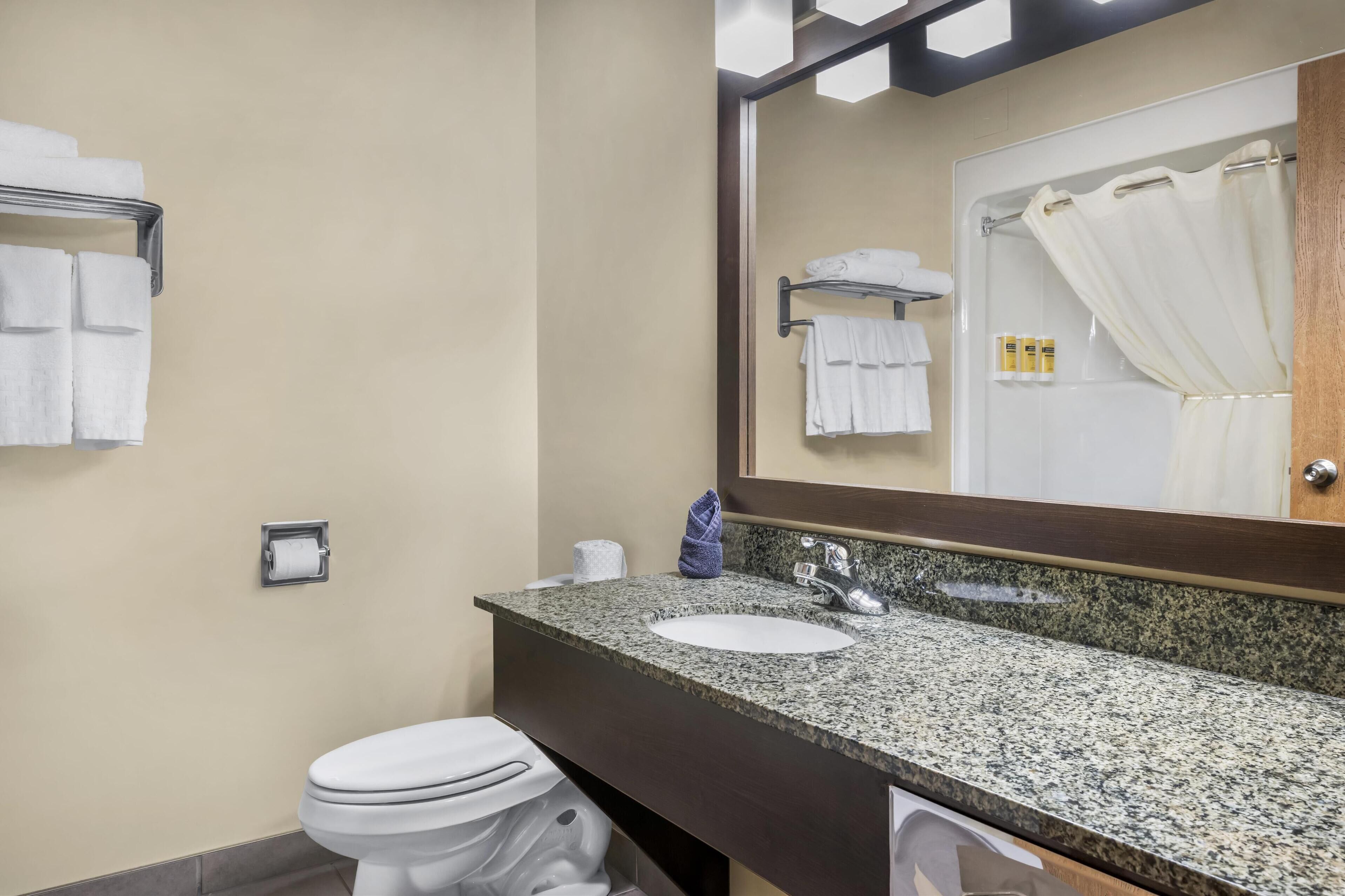 A bathroom with a white toilet, a sink with a granite countertop, and a mirror above the sink.