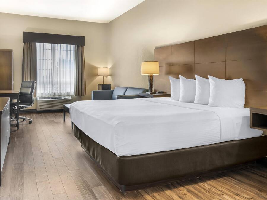 Standard Room, 1 King Bed, Non Smoking, Refrigerator & Microwave (with Sofabed)