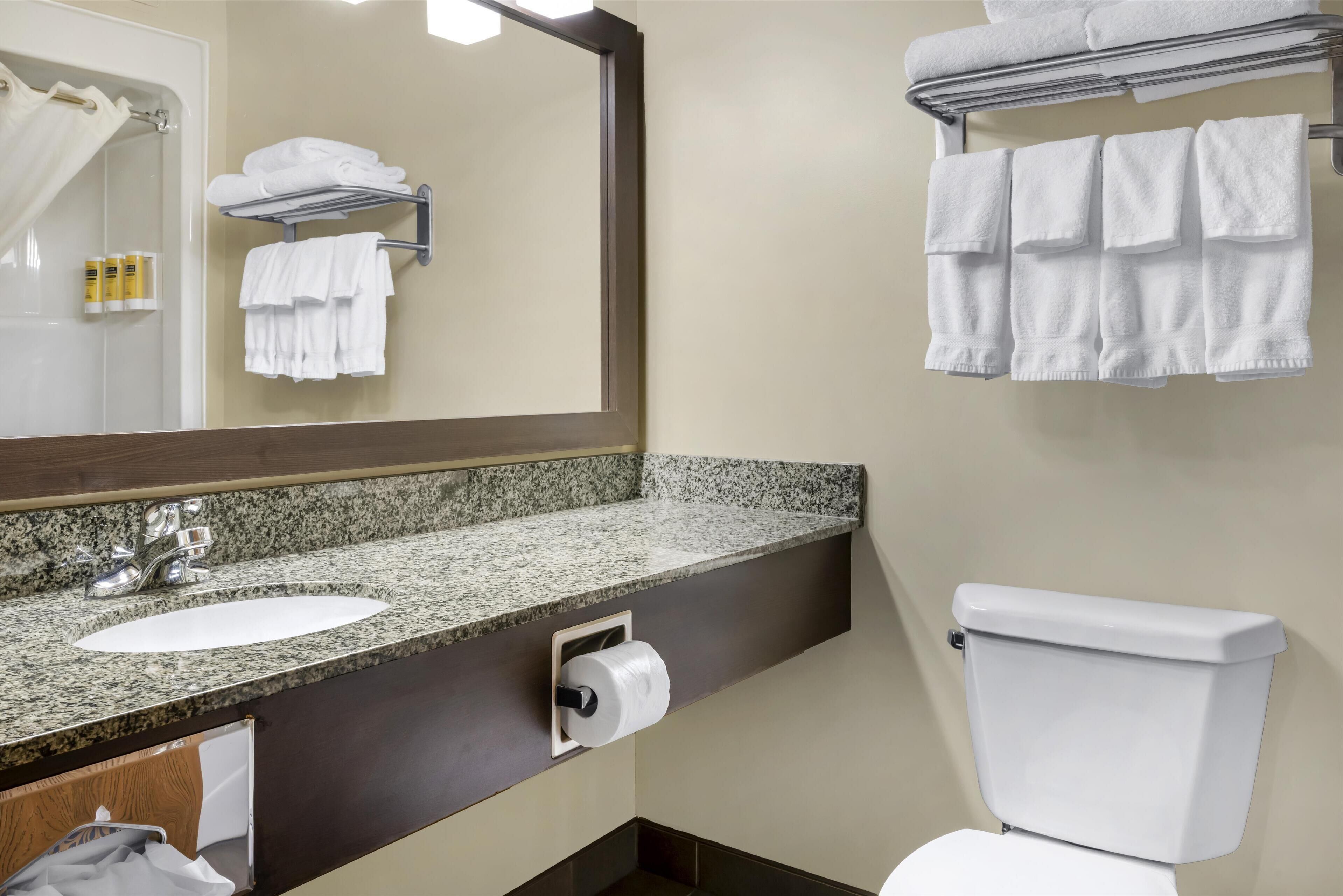 Un baño con lavamanos de encimera de granito, un espejo, toallero y un inodoro.