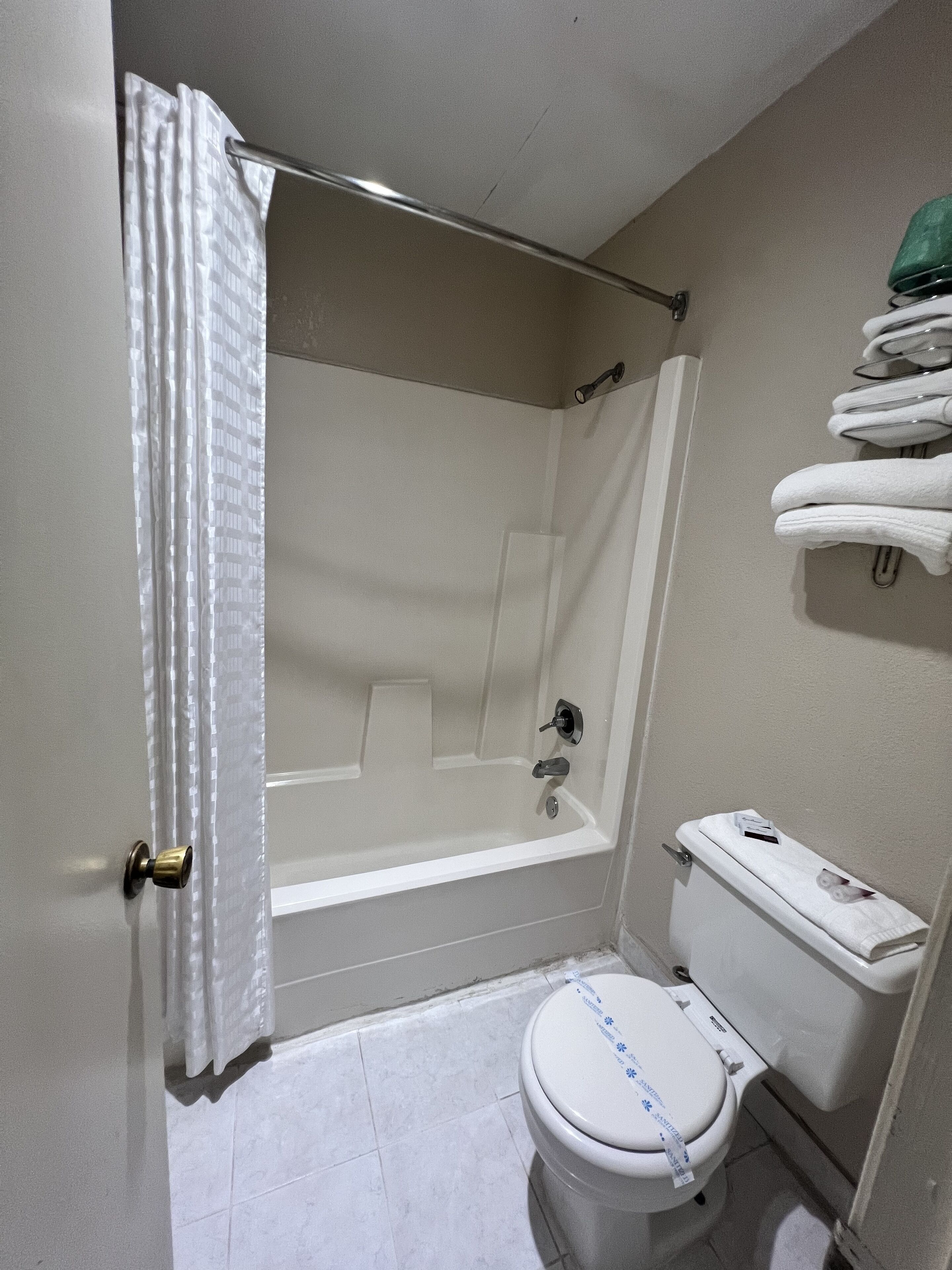 A bathroom with a shower, toilet, and towel rack.