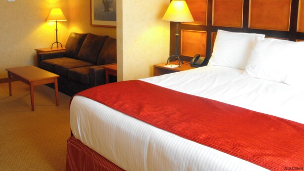 Habitación de hotel con una cama grande, cabecera de madera, mesita de noche con lámpara, una pequeña mesa, un sofá y un cuadro en la pared.
