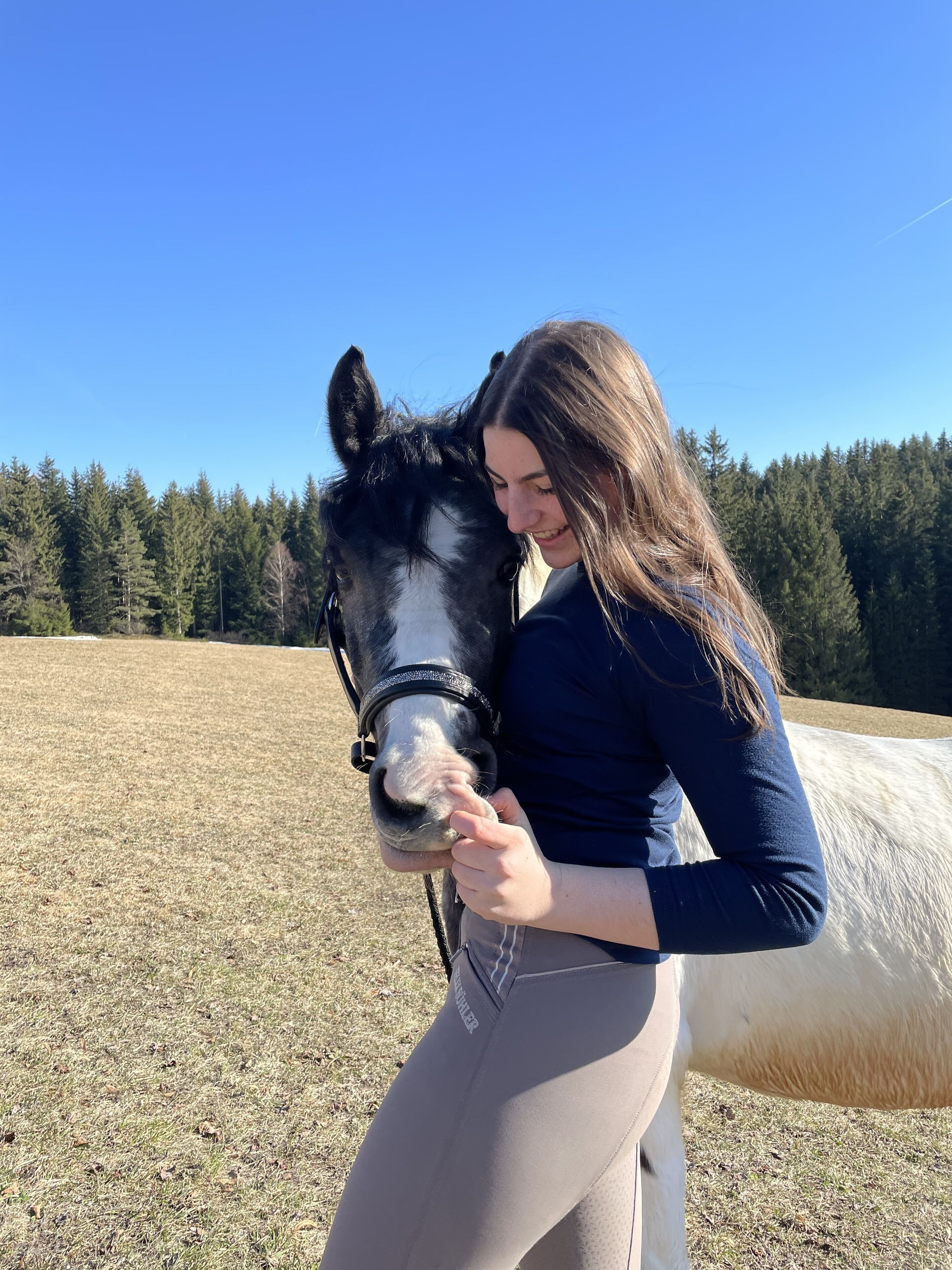 Une personne caresse un cheval dans un champ, avec une forêt en arrière-plan.