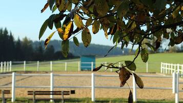 A stable with white fences and a bench in the foreground.