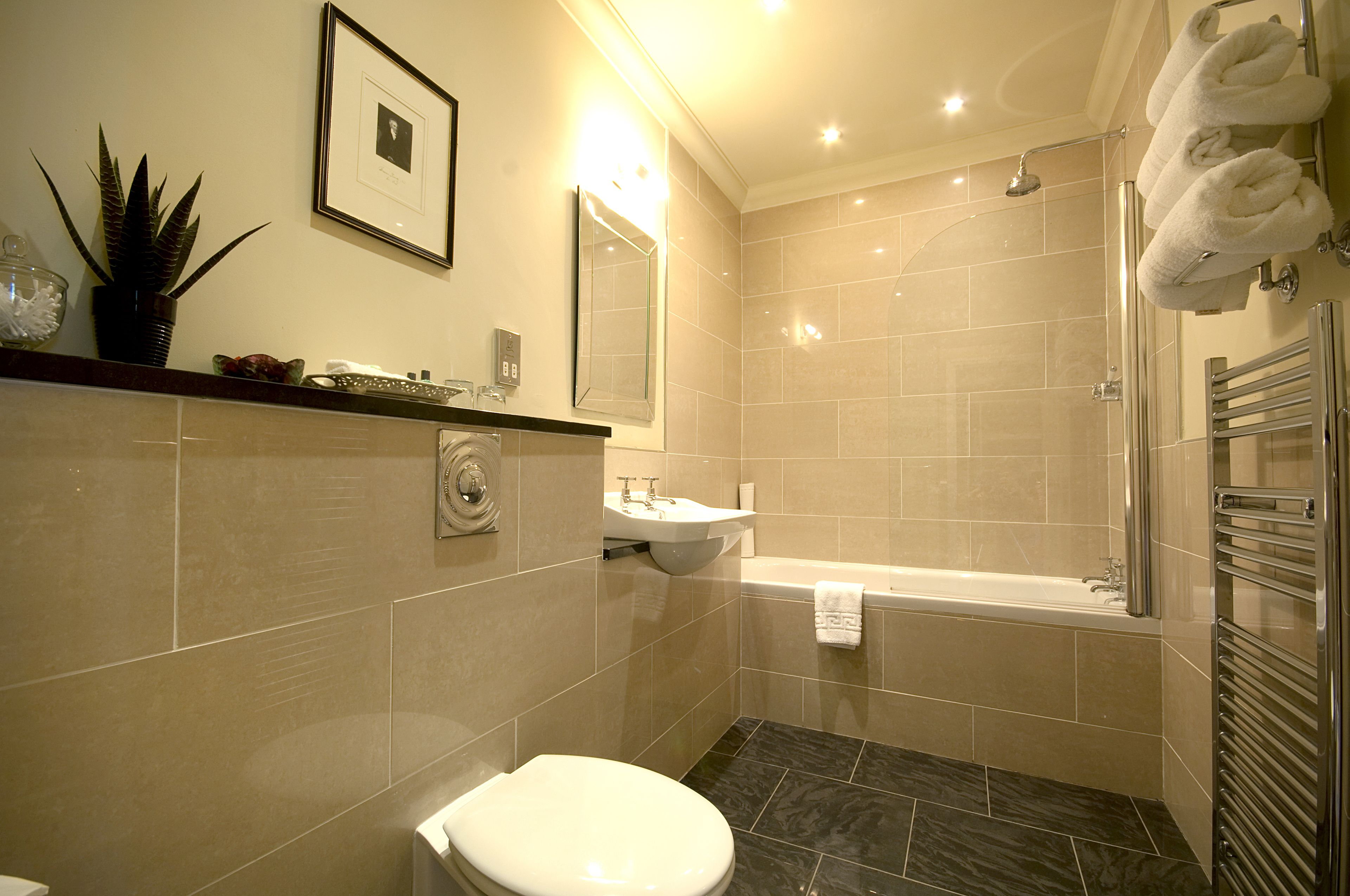 executive double room, 1 king bed | bathroom | combined shower/bathtub, free toiletries, hair dryer, towels
