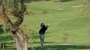 Un golfista en un campo de golf, con un árbol y un mástil de bandera al frente.