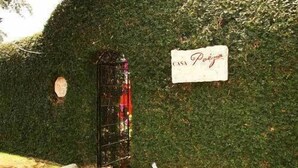 Unclassified image, 2 of 62, button - Casa Poezia Boutique Hotel (Cuernavaca)