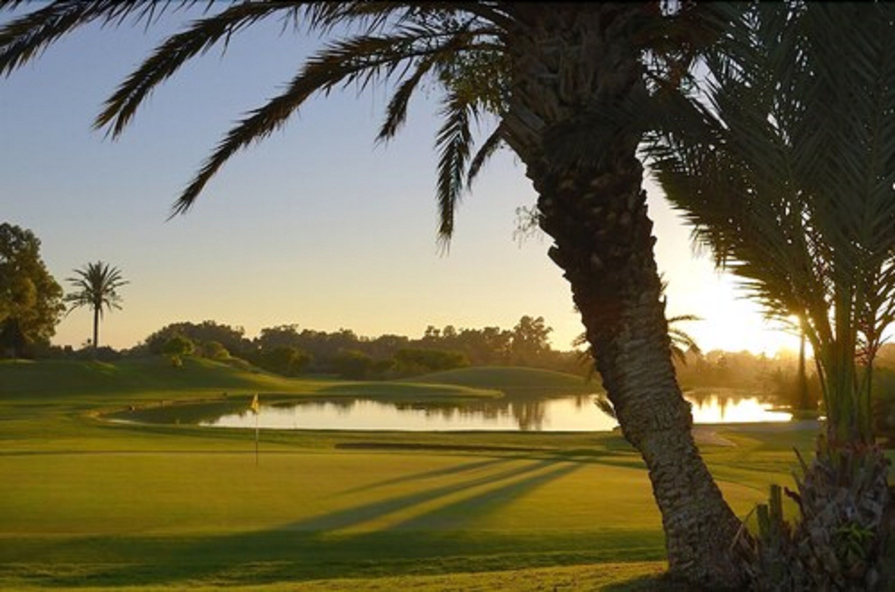 A golf course with a water body, palm trees, and a clear sky.