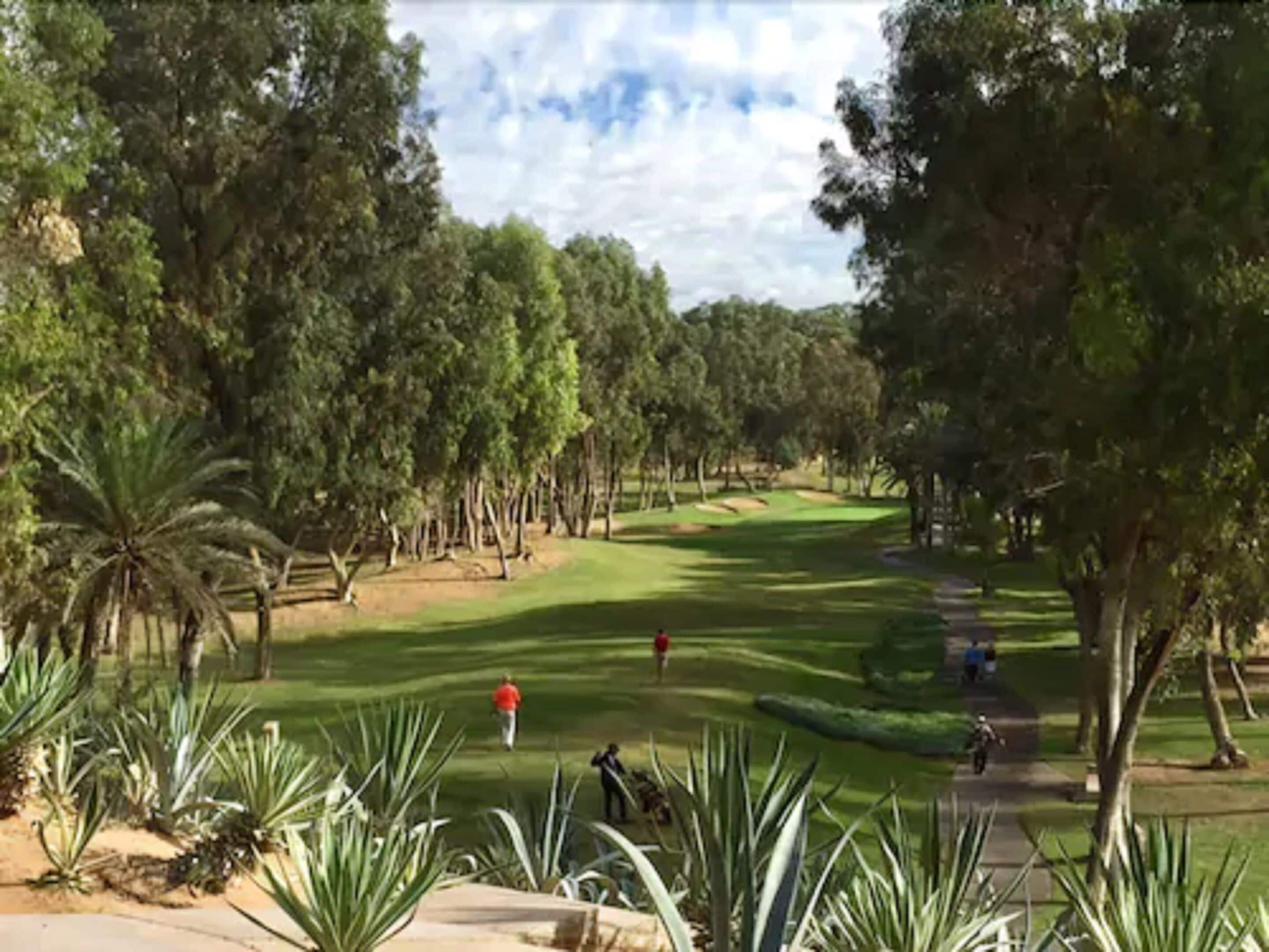 Un parcours de golf avec des arbres et un sentier.