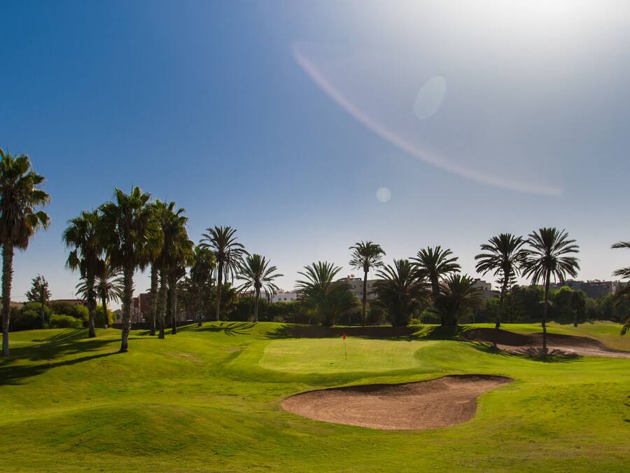 Un campo de golf con palmeras, cielo despejado y un edificio al fondo.