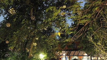 Un espace extérieur aménagé en terrasse, avec des tables et des chaises, entouré d’une végétation luxuriante et d’arbres.