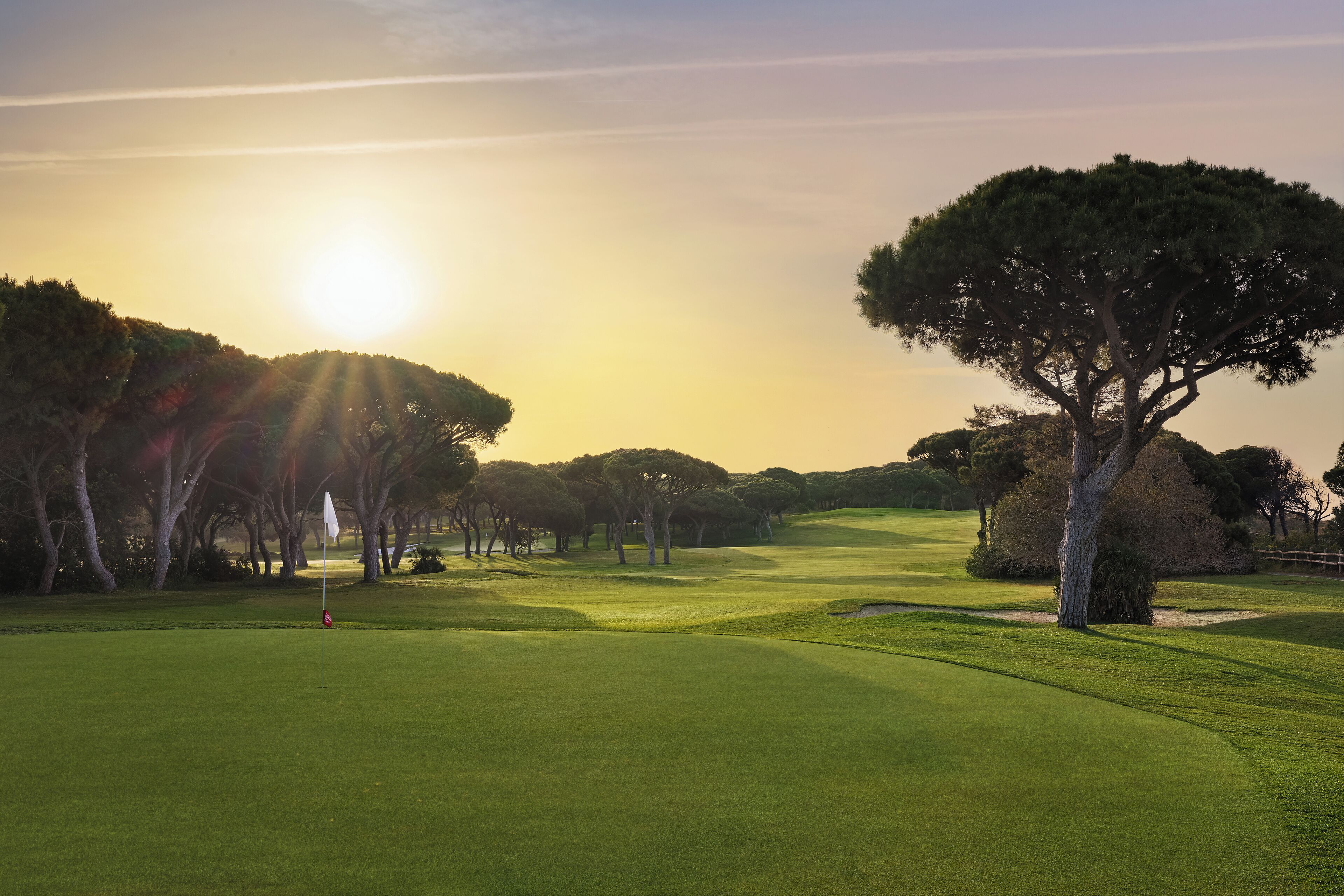 A golf course with a flagstick, trees, and a clear sky.
