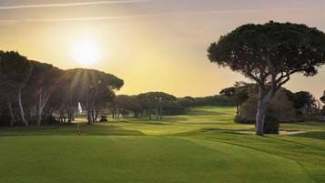 A golf course with a flagstick, trees, and a clear sky.