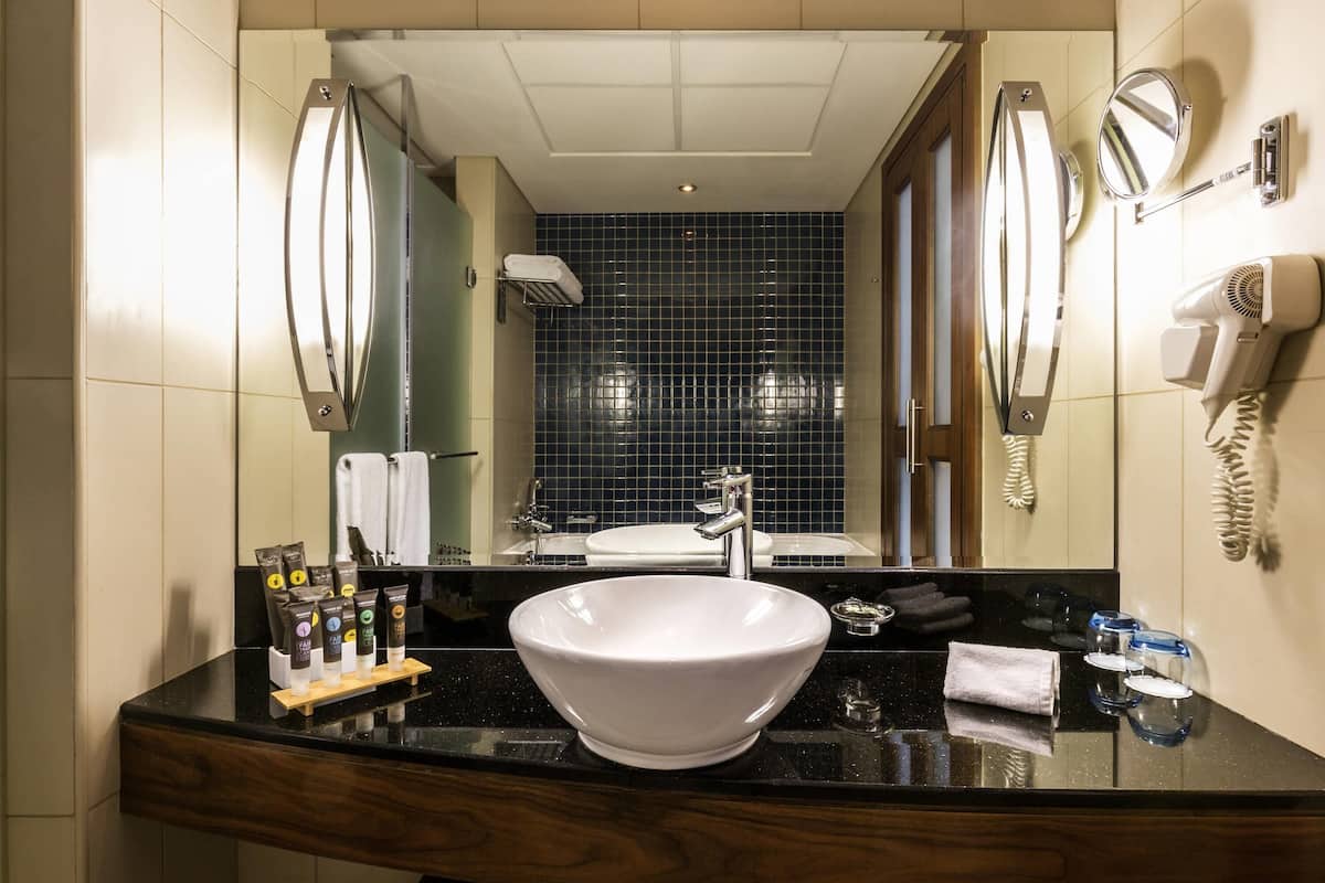 A bathroom with a large mirror, a sink with a white basin, a hairdryer, and toiletries on the counter.
