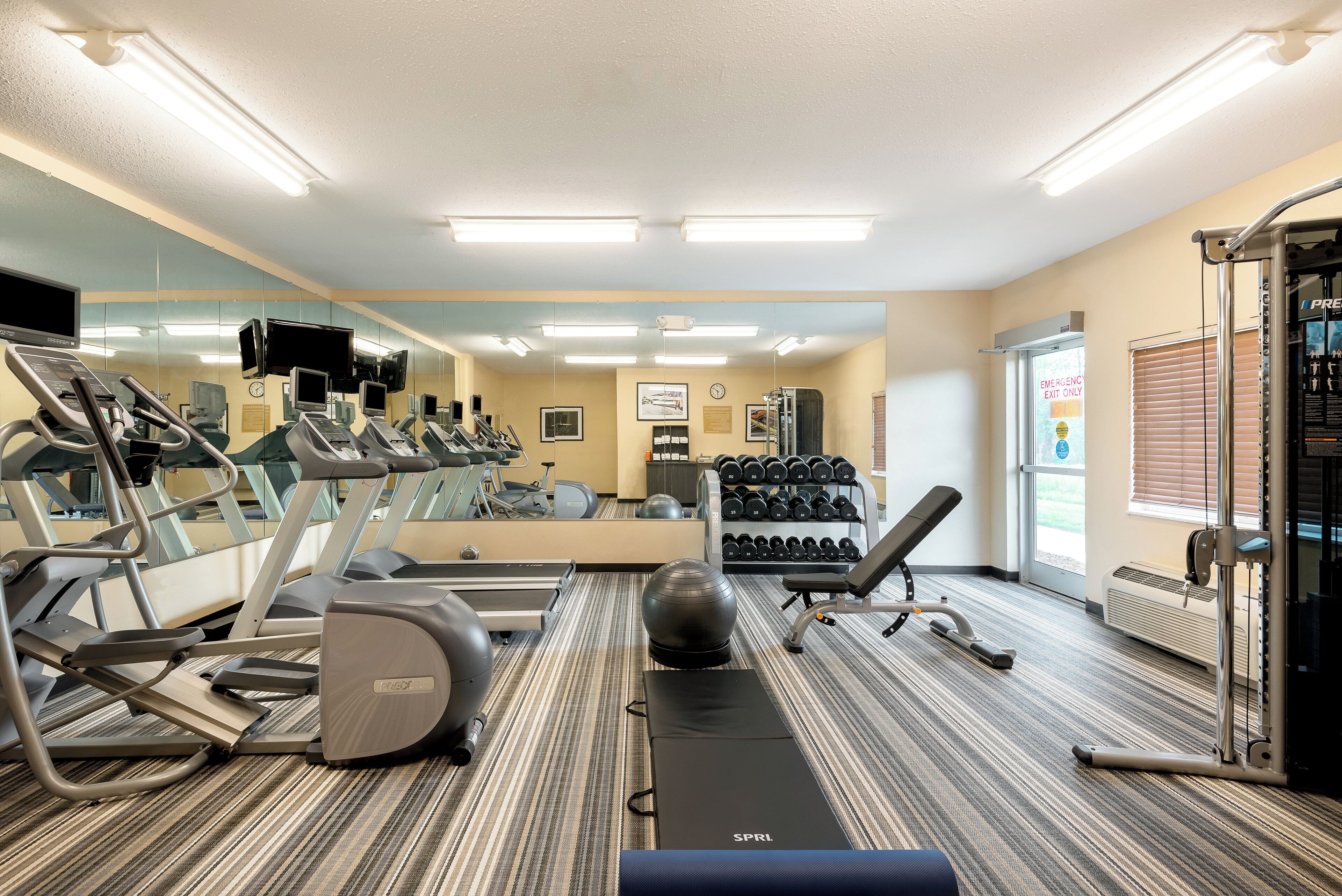 A gym with treadmills, a mirrored wall, and a variety of weights.