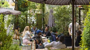 An outdoor seating area with green metal chairs and tables, surrounded by lush greenery and plants. - The Standard East Village (New York)