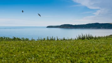 A coastal landscape with a grassy foreground, calm sea, and distant hills.