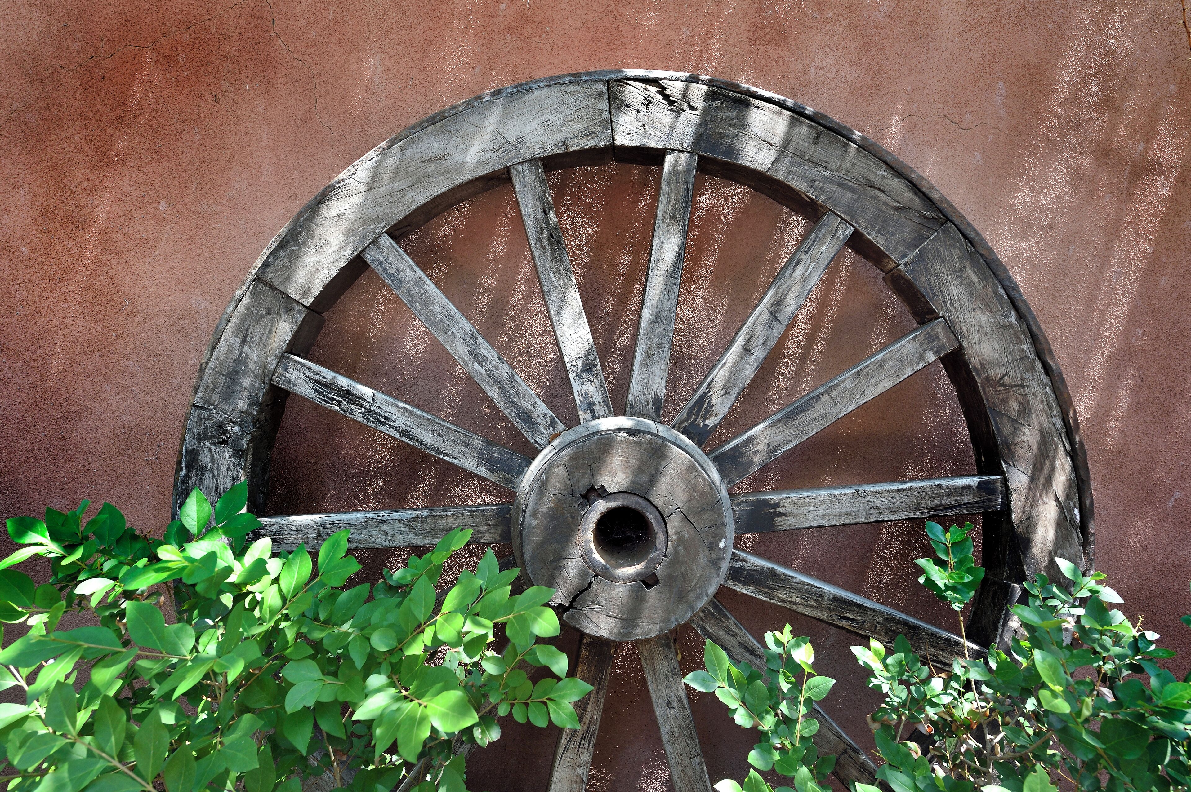 Foto - Casa Culinaria - The Gourmet Inn