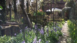 A garden pathway surrounded by various plants and flowers, leading to a brick building. - Hundred House Hotel (Shifnal)