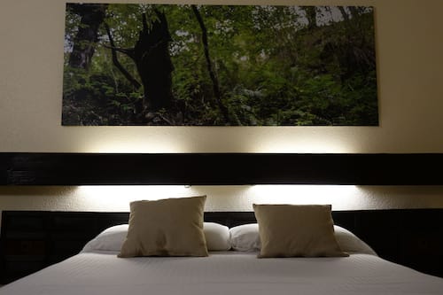 Chambre Double Standard