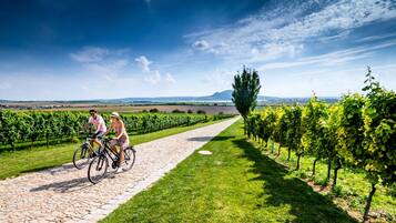 A vineyard path with cyclists, rows of grapevines, and a distant mountain.