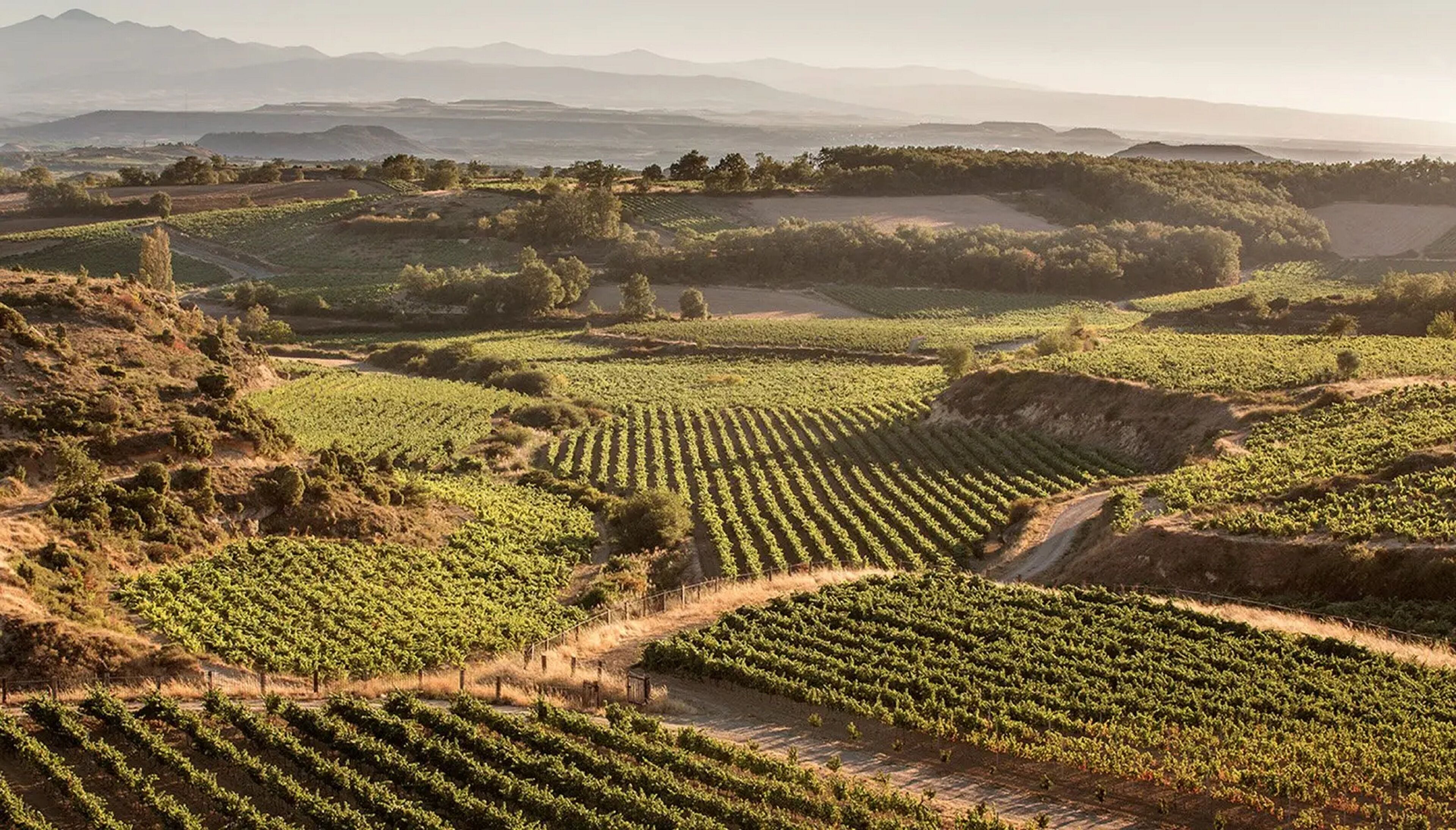 land view from property