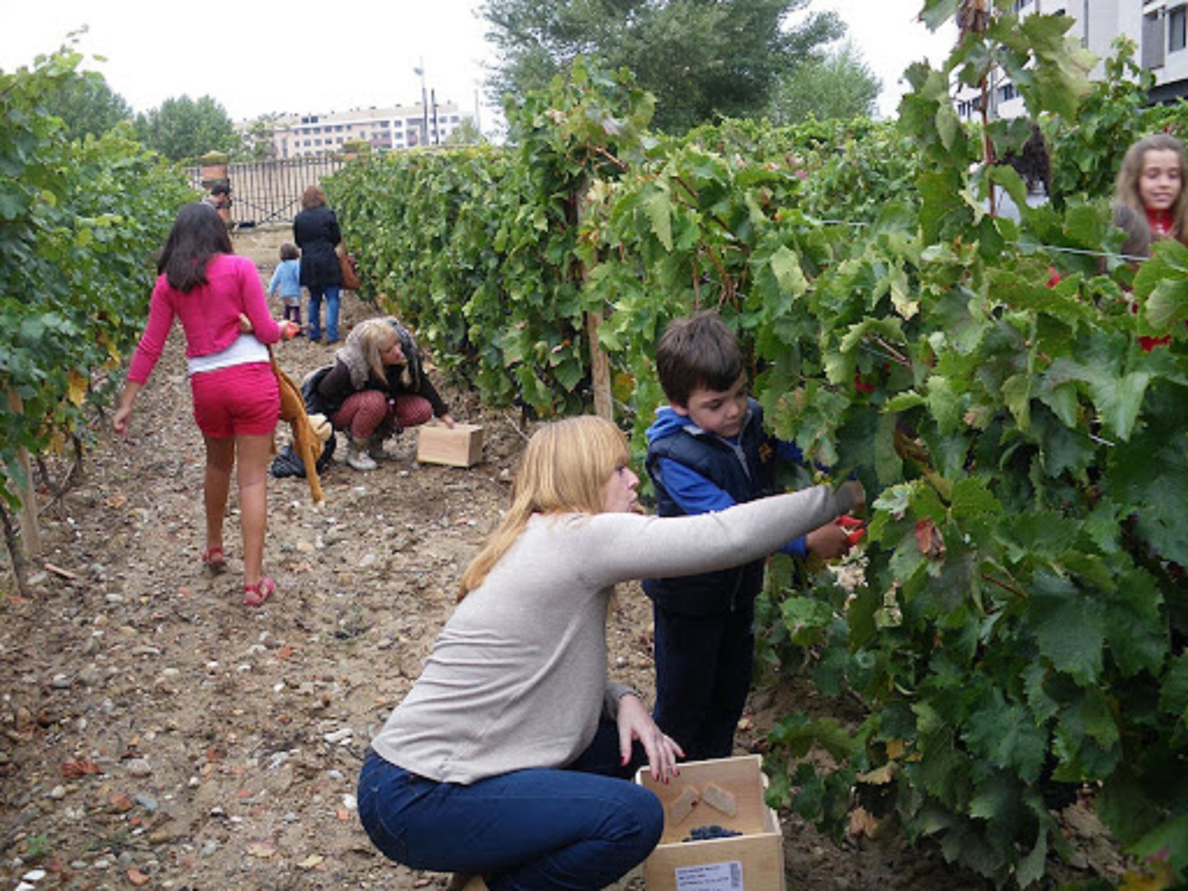 children’s activities