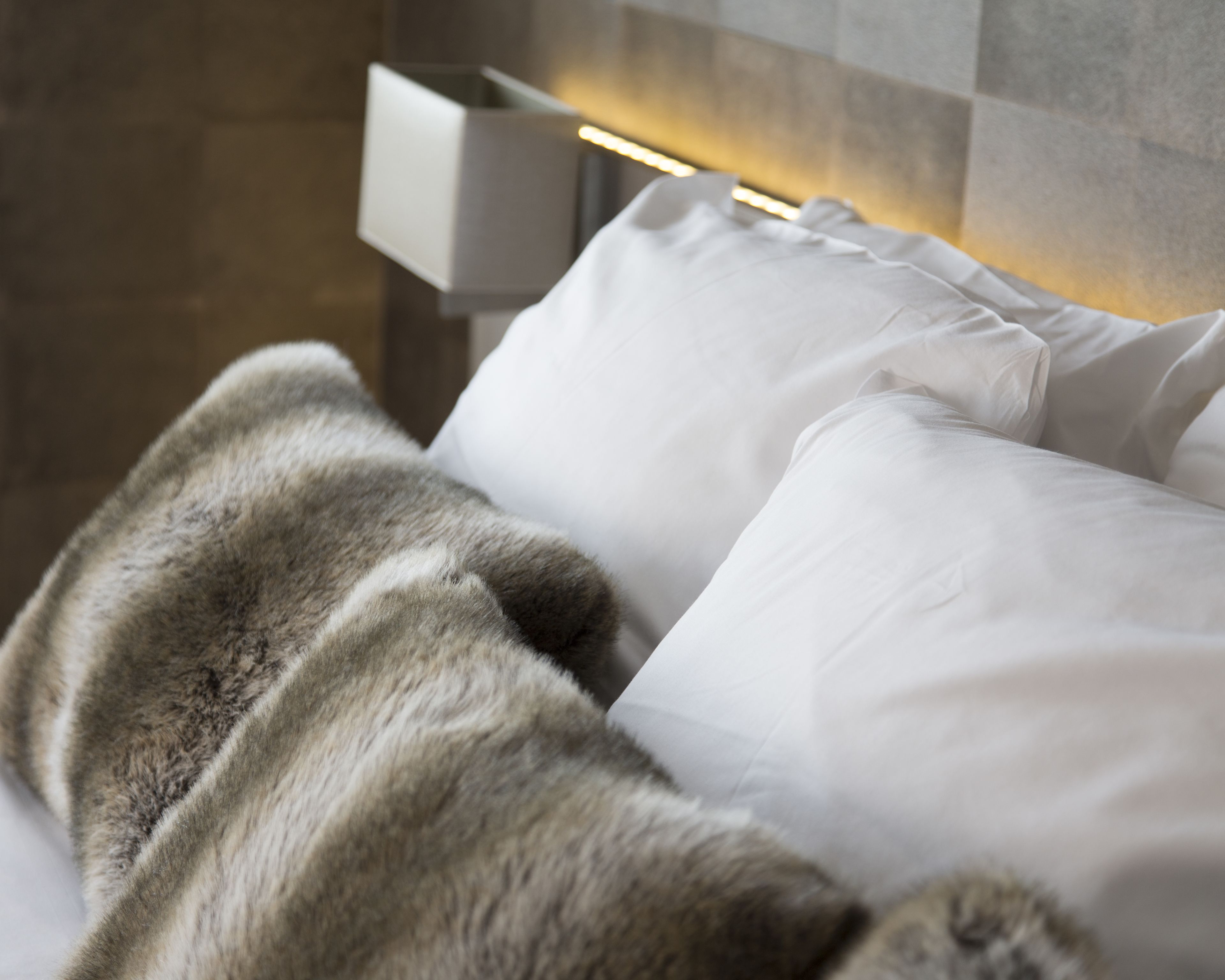 suite (wellness) | hypo-allergenic bedding, minibar, in-room safe, desk