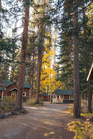 Property grounds - Johnston Canyon Lodge and Bungalows (Johnston Canyon)