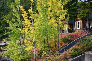 Property grounds - Johnston Canyon Lodge and Bungalows (Johnston Canyon)