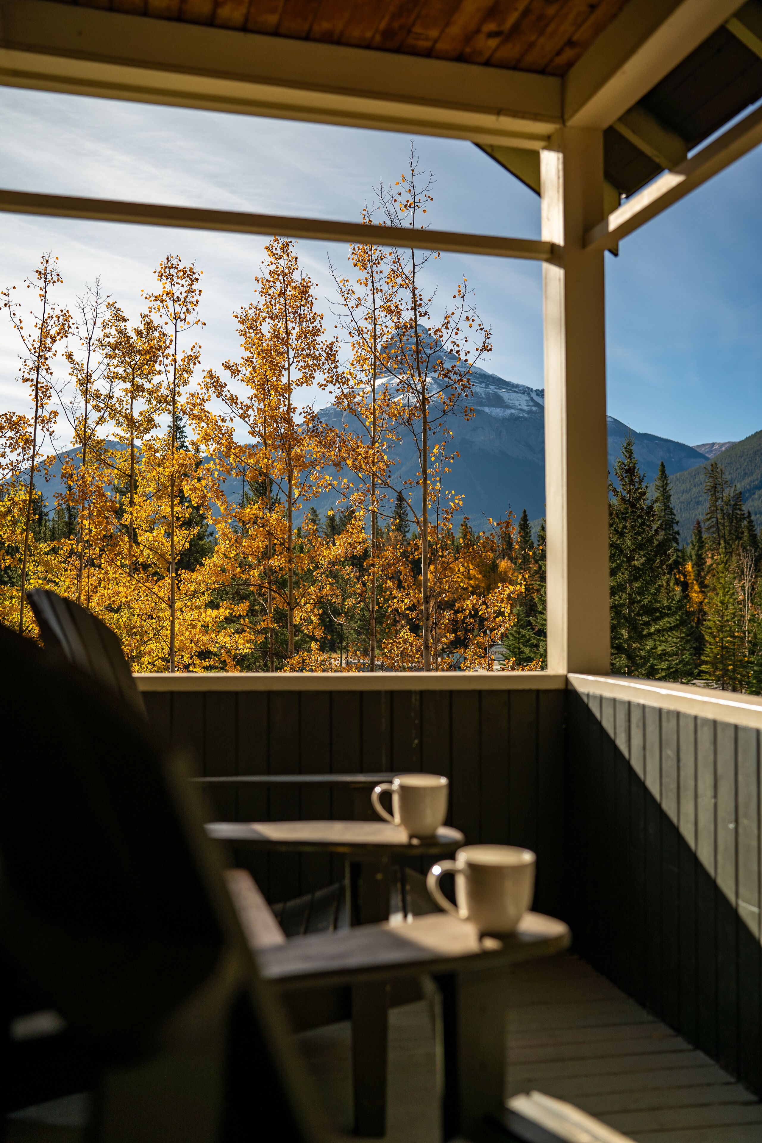 A covered outdoor seating area with tables and chairs, overlooking a forest with autumn-colored trees and mountains in the background.