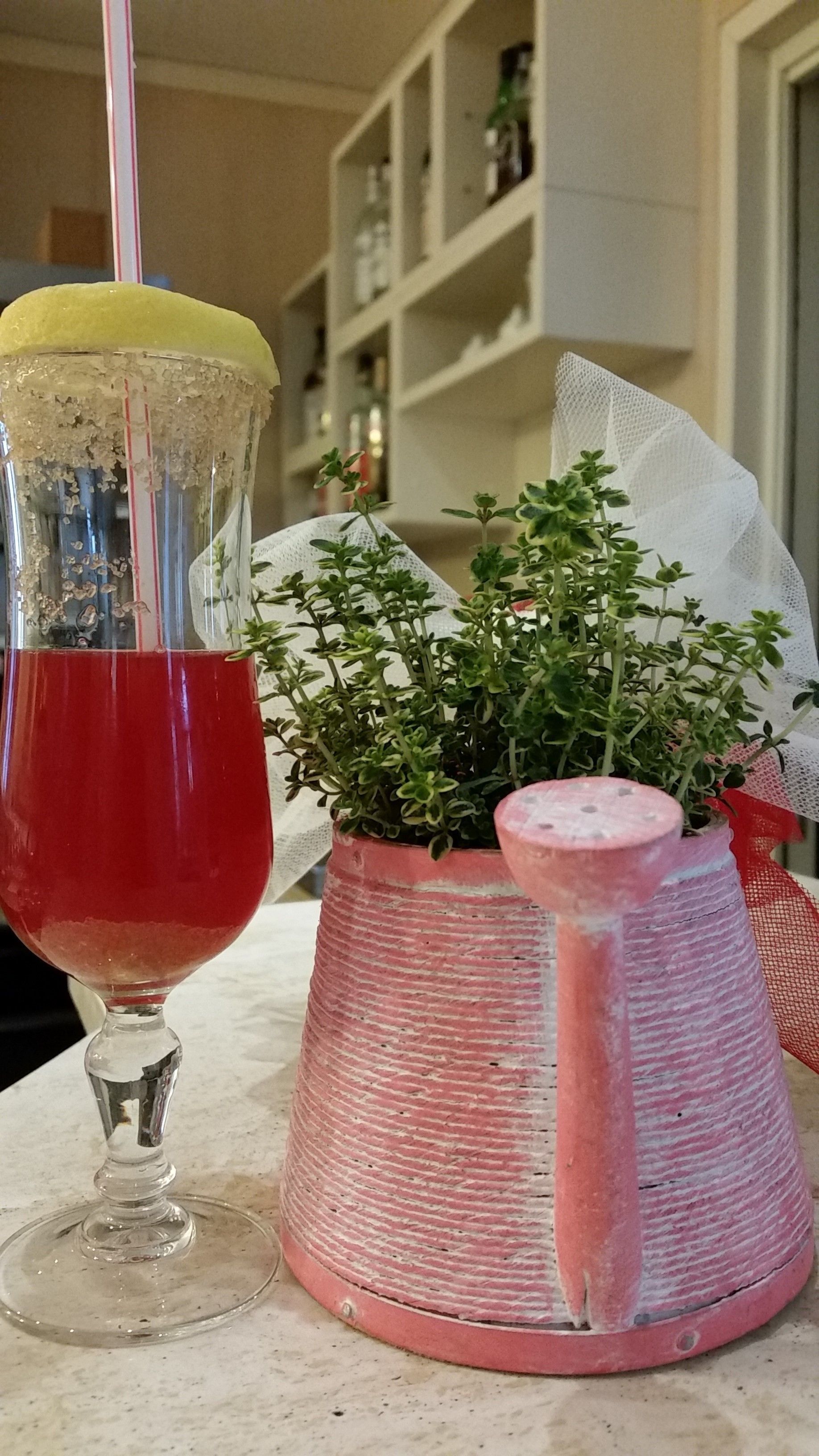 Ein Glas mit roter Flüssigkeit und ein rosafarener Topf mit Grünpflanzen.