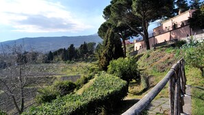 Une colline avec une clôture en bois, un grand arbre et un bâtiment à la façade rose.