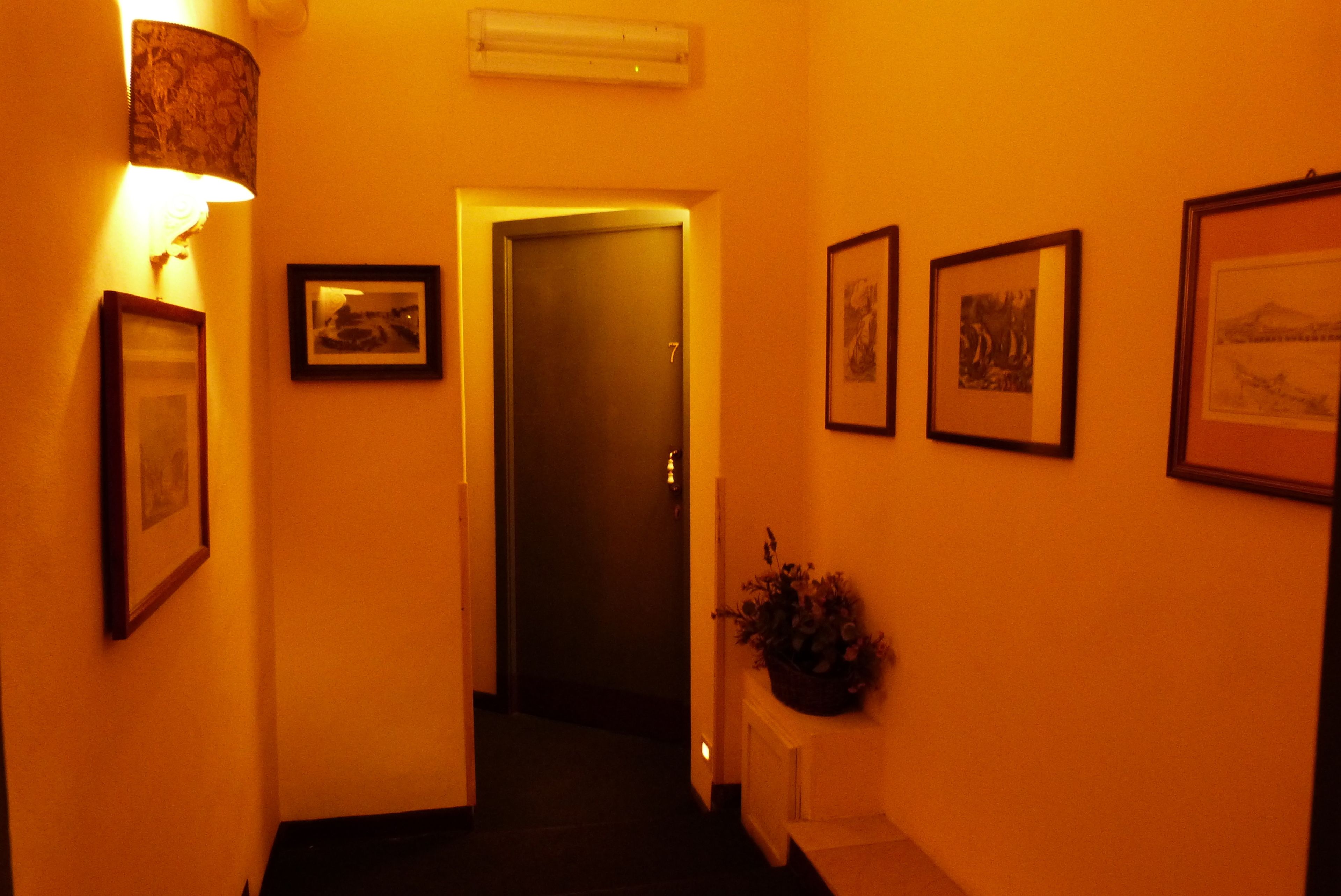 A hallway with a door marked '7', framed pictures on the walls, and a potted plant.