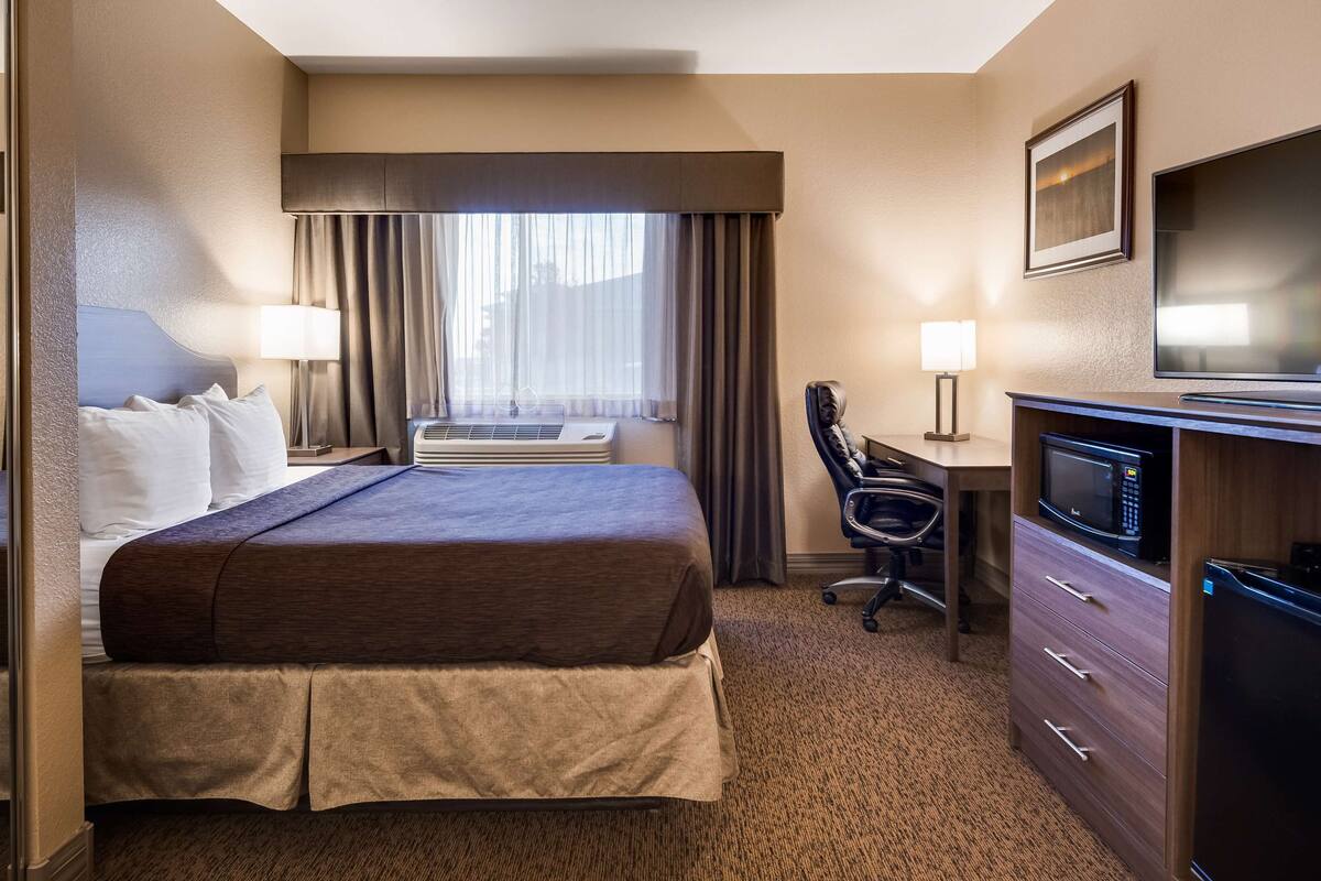 suite, 1 king bed, non smoking, refrigerator & microwave (with sofabed) | desk, laptop workspace, iron/ironing board, wifi