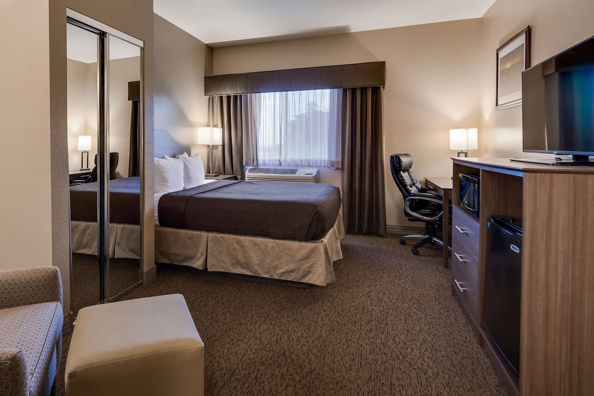 Suite, 1 King Bed, Non Smoking, Refrigerator & Microwave (with Sofabed)