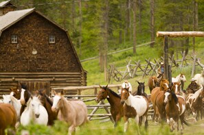 A wooden barn with a fenced area containing horses.