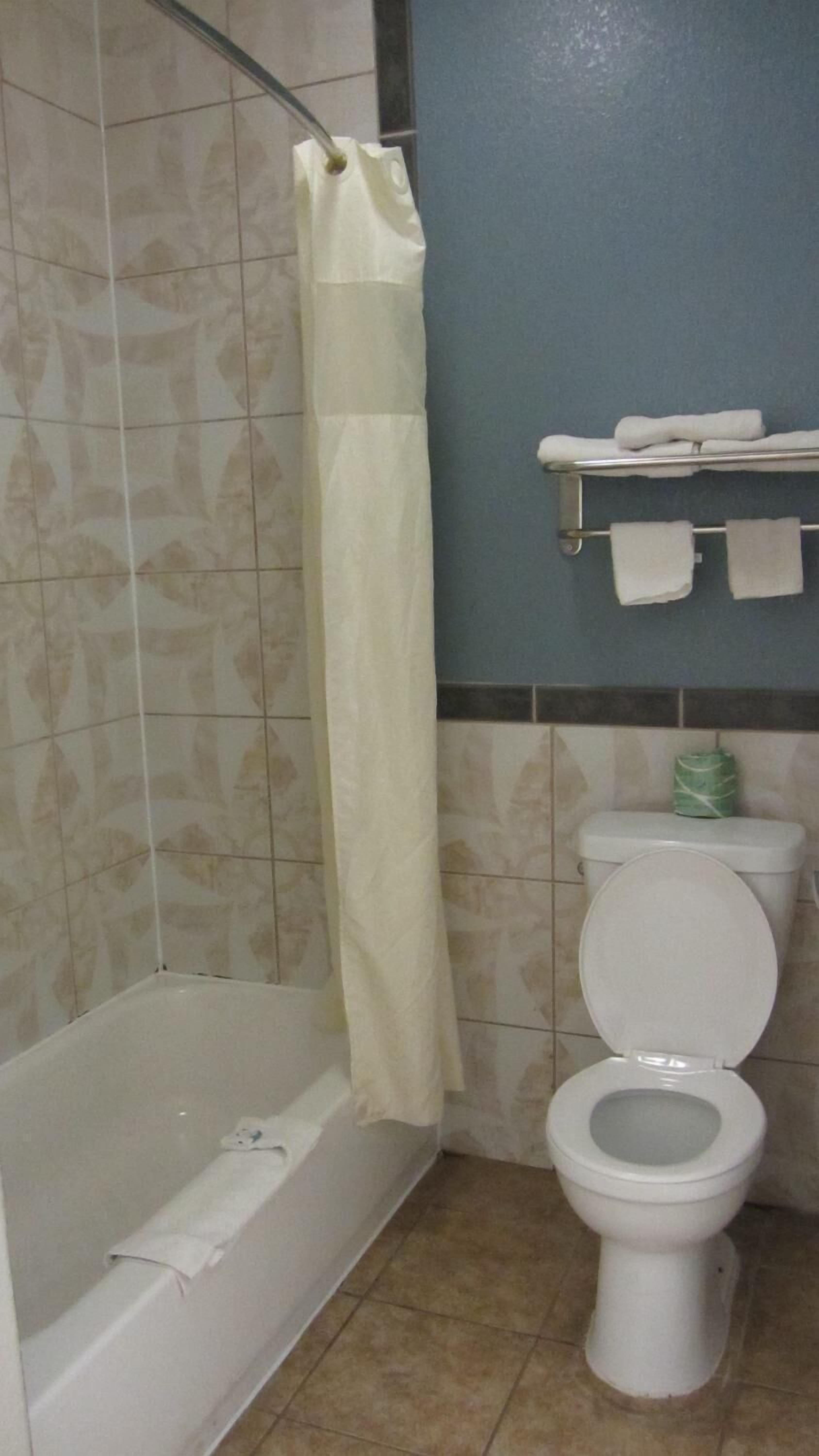 A bathroom with a bathtub, toilet, and a shower curtain.