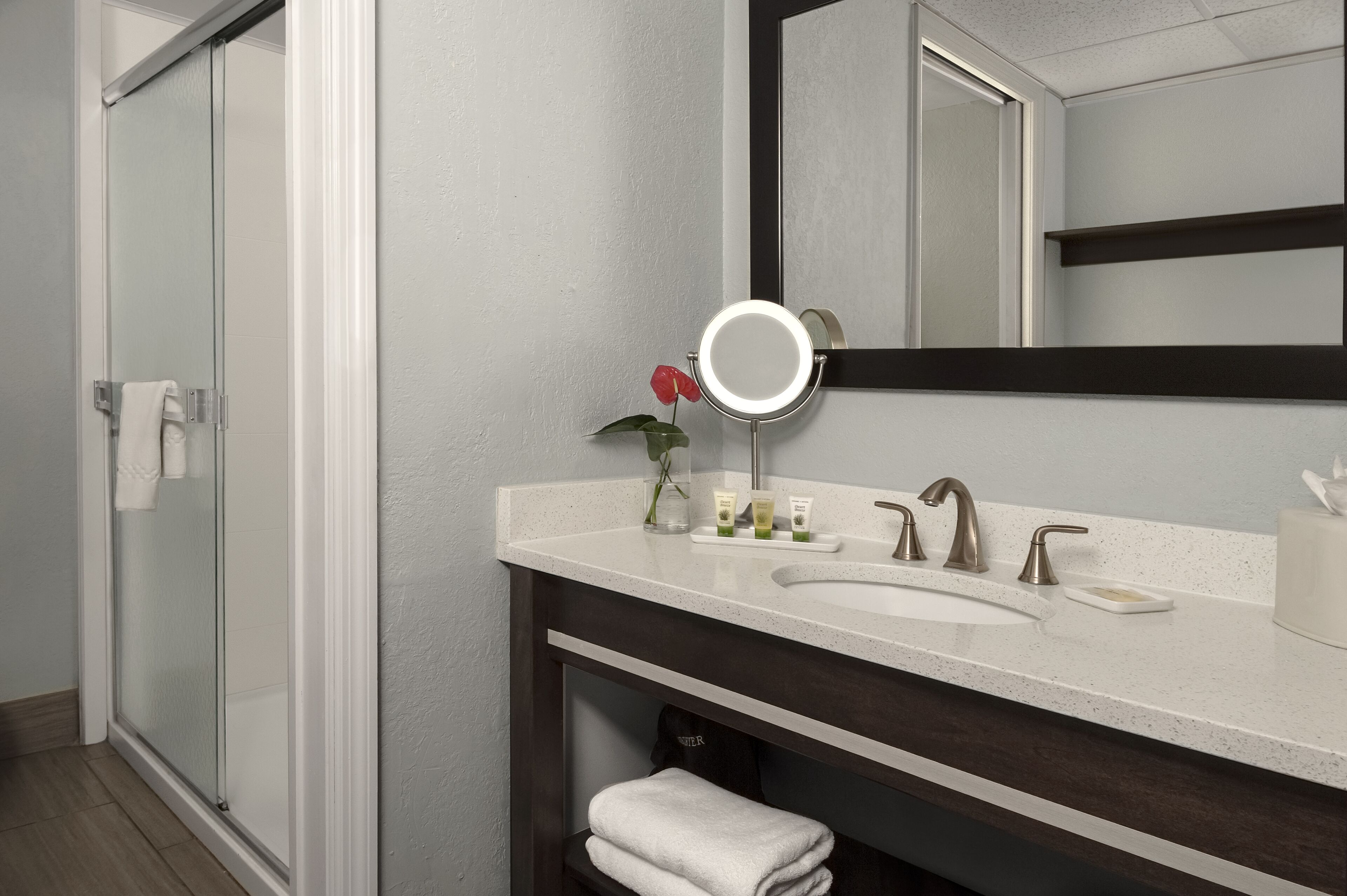 combined shower/bathtub, free toiletries, hair dryer, towels