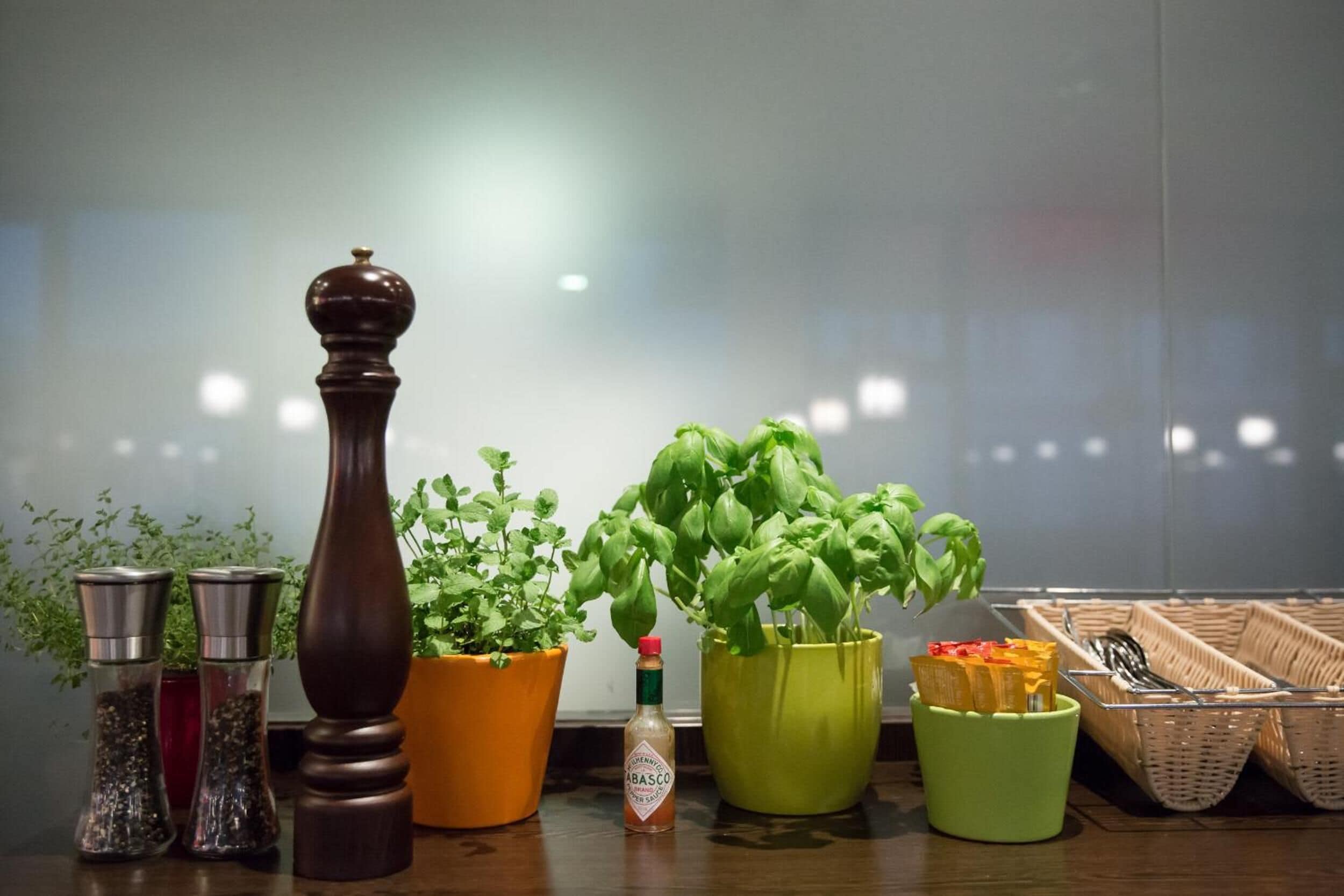 Una encimera de cocina con diversos objetos, entre ellos molinillos de pimienta, una botella de salsa y plantas en macetas.