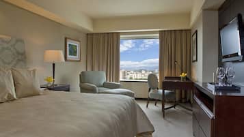 Room, 1 King Bed