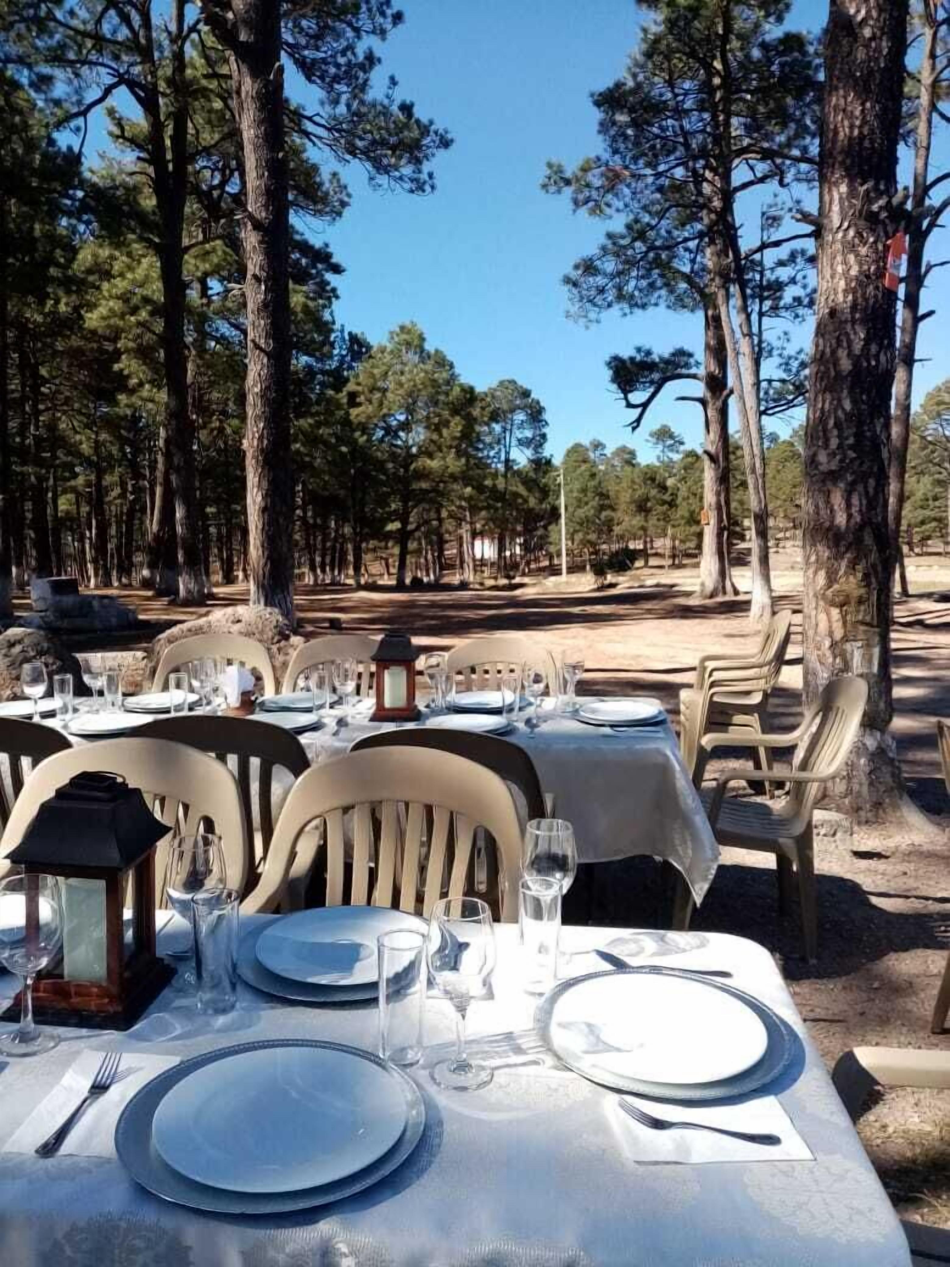 An outdoor dining area with tables set for a meal, surrounded by trees.